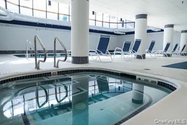 Condo Diane Queens, NY 11360, MLS-928120-19