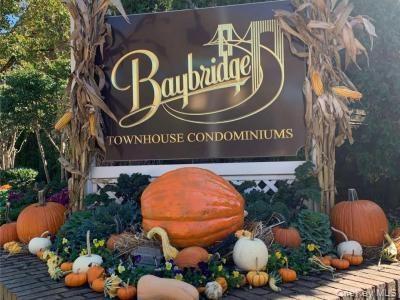 Condo Diane  Queens, NY 11360, MLS-928120-21