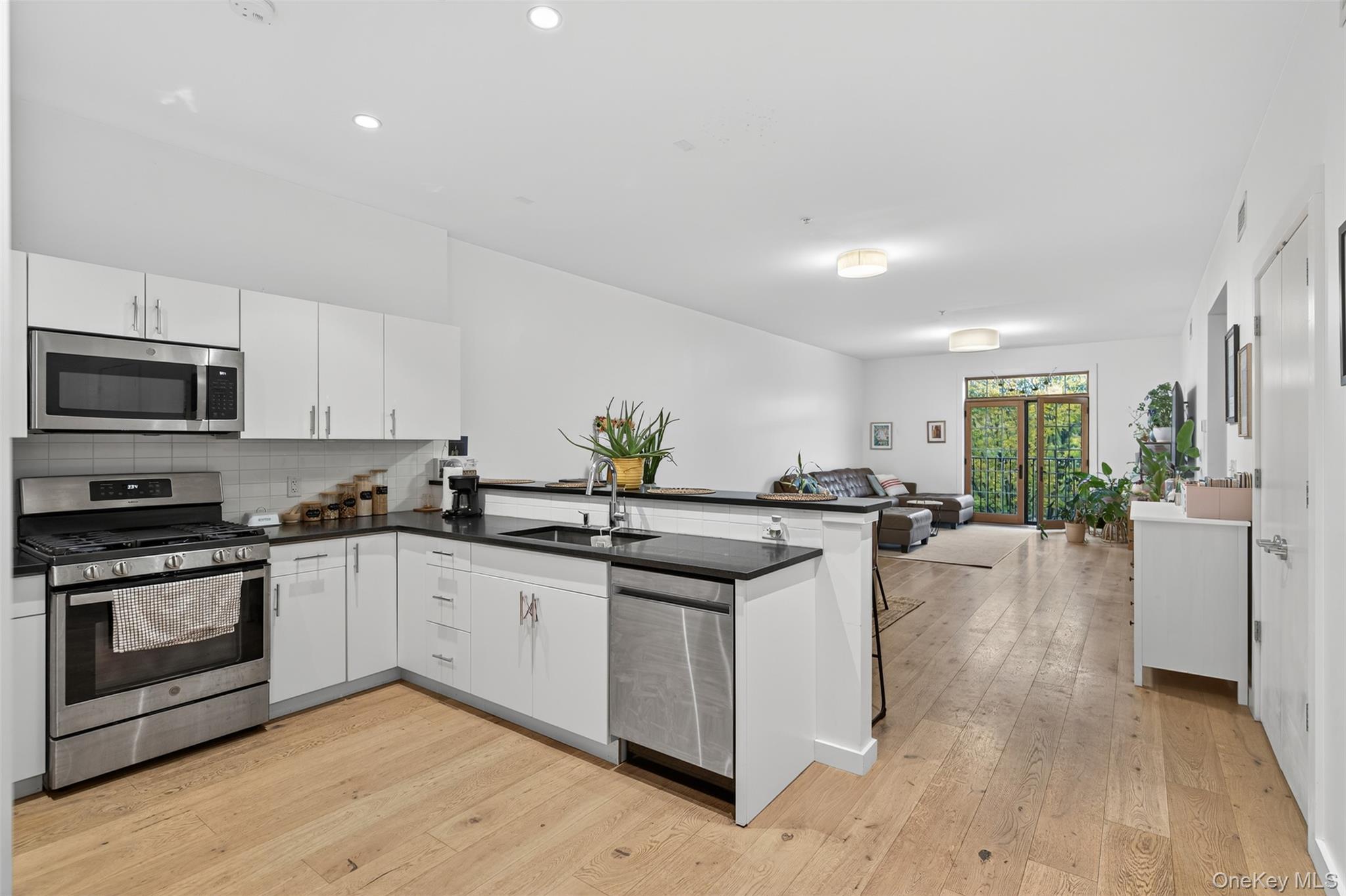 Condo Main  Dutchess County, NY 12508, MLS-928159-5