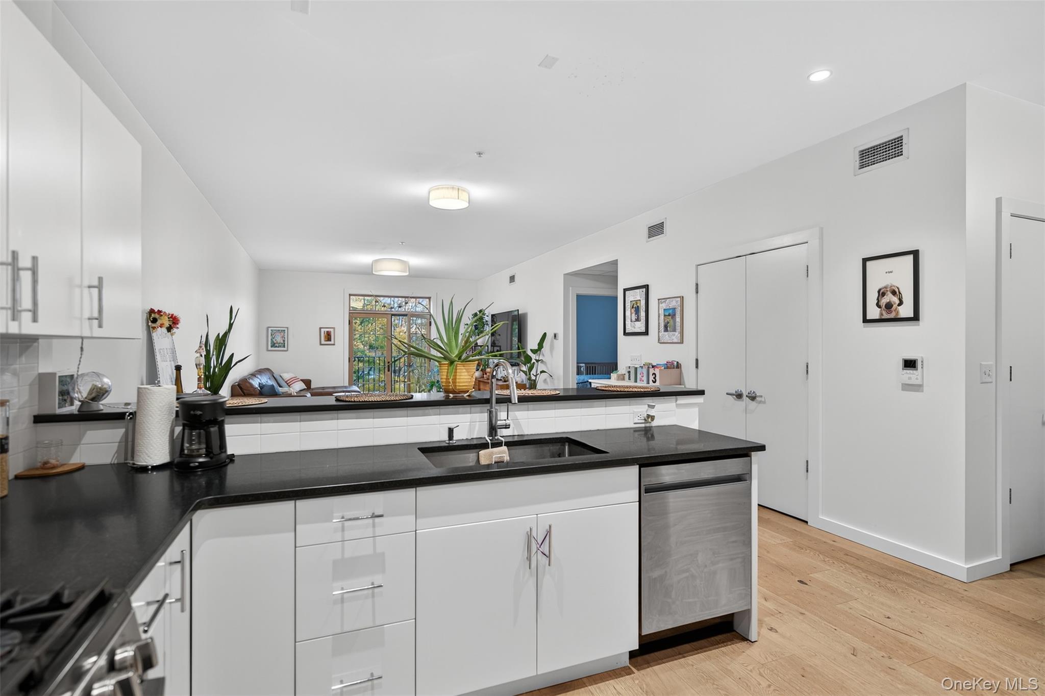 Condo Main  Dutchess County, NY 12508, MLS-928159-7