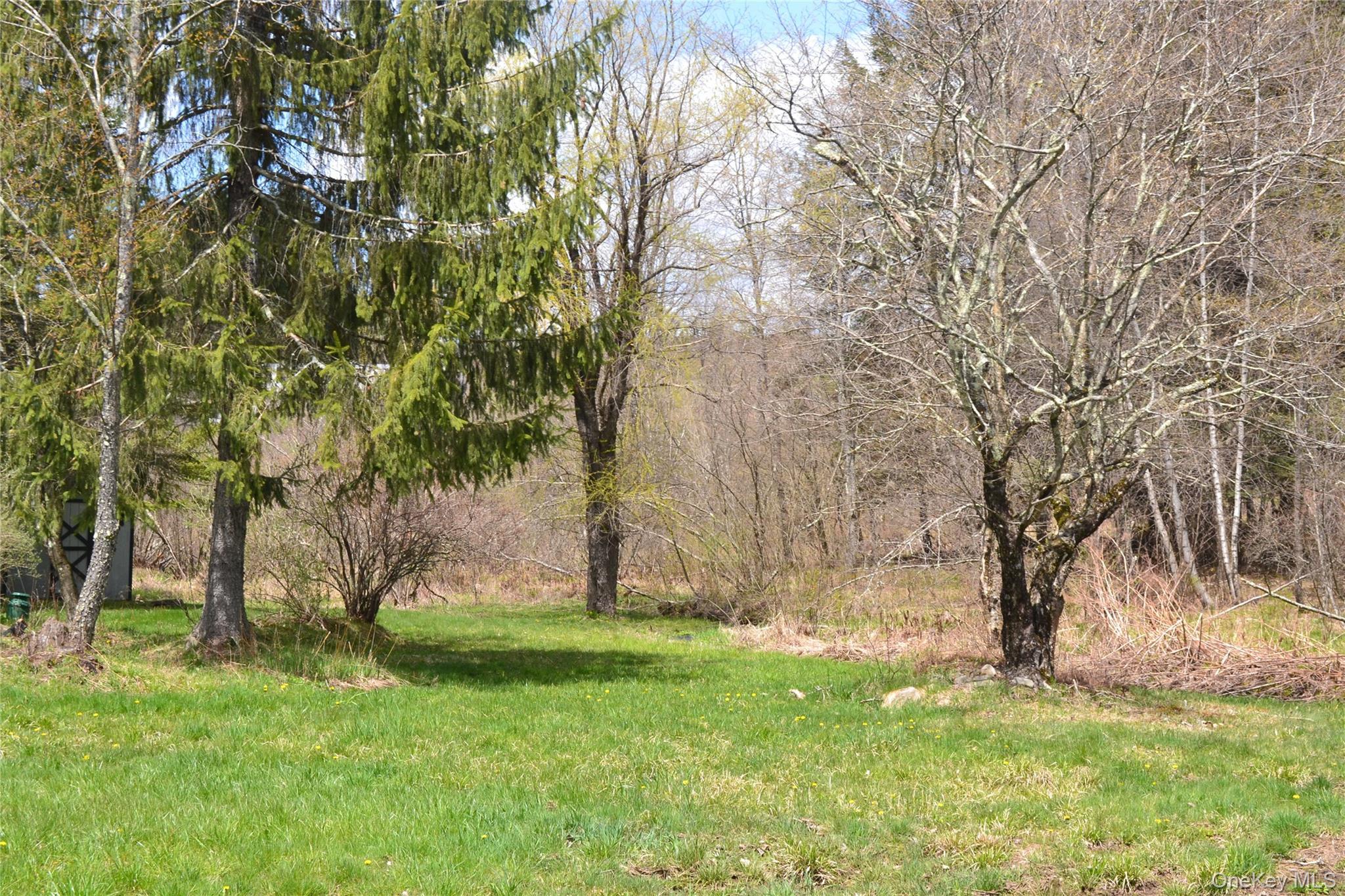 Single Family Bonnie Brook  Delaware County, NY 12776, MLS-928172-24