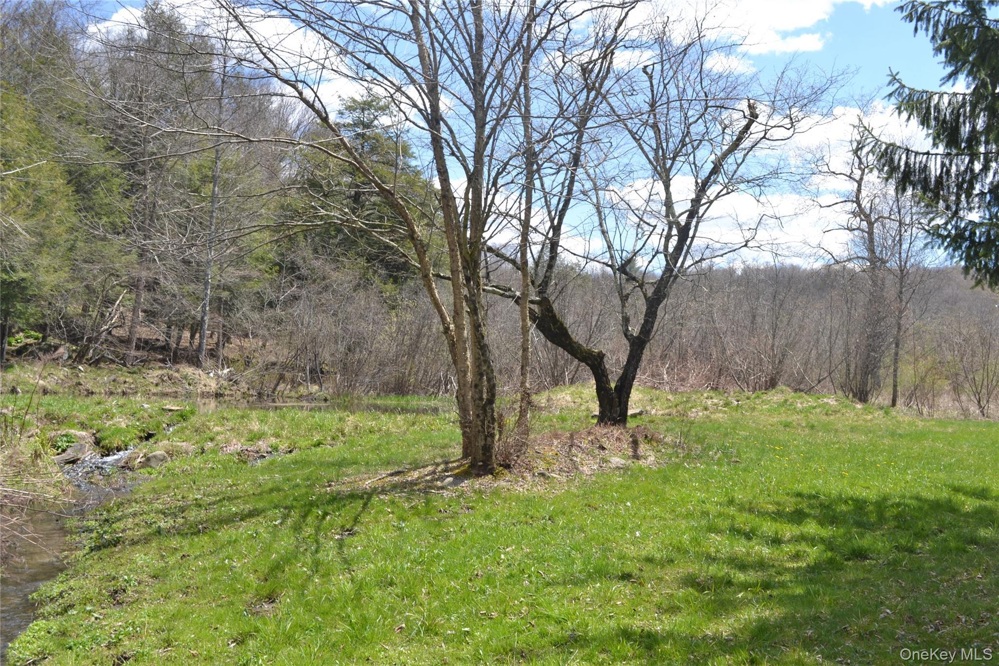 Single Family Bonnie Brook  Delaware County, NY 12776, MLS-928172-25