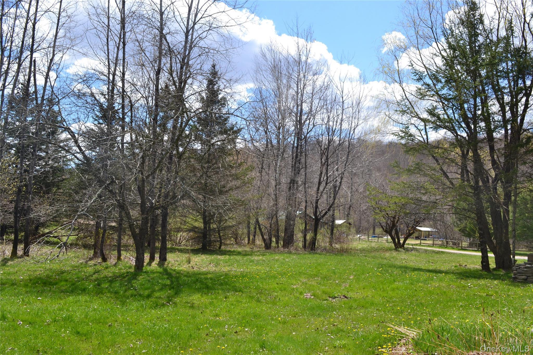 Single Family Bonnie Brook  Delaware County, NY 12776, MLS-928172-28