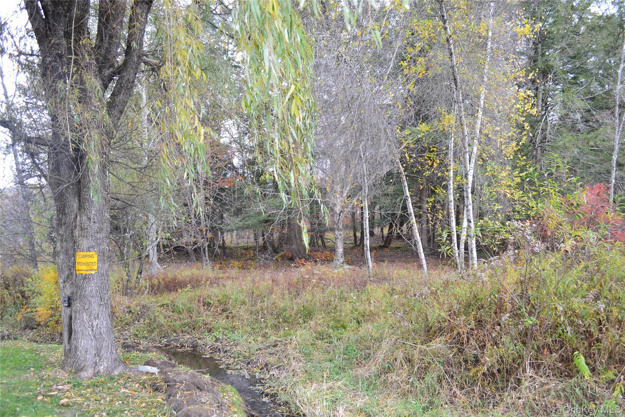 Single Family Bonnie Brook  Delaware County, NY 12776, MLS-928172-30