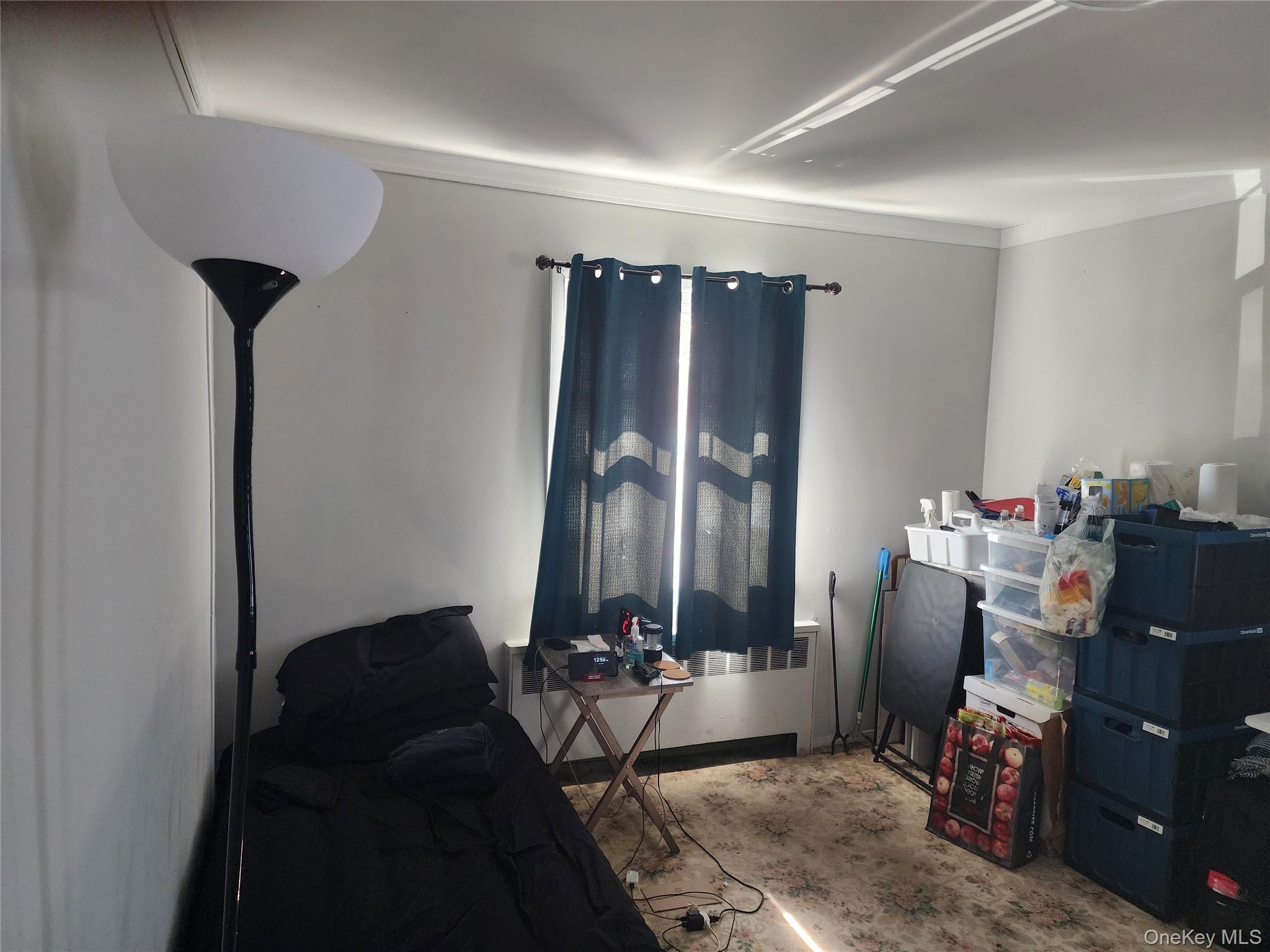 Single Family Nancy  Nassau County, NY 11758, MLS-928173-5