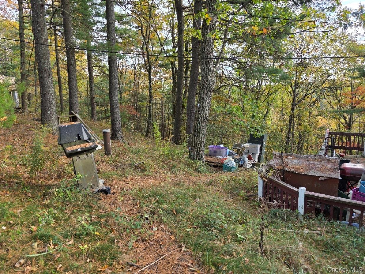 Single Family Hilltop  Sullivan County, NY 12790, MLS-928197-2