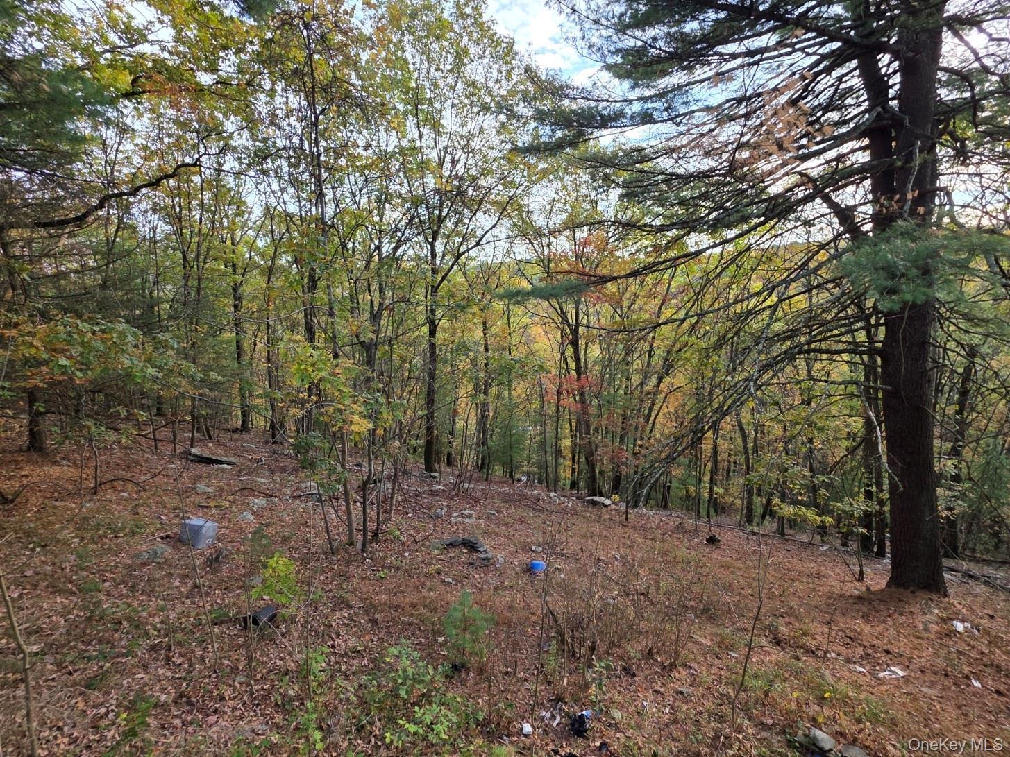 Single Family Hilltop  Sullivan County, NY 12790, MLS-928197-4