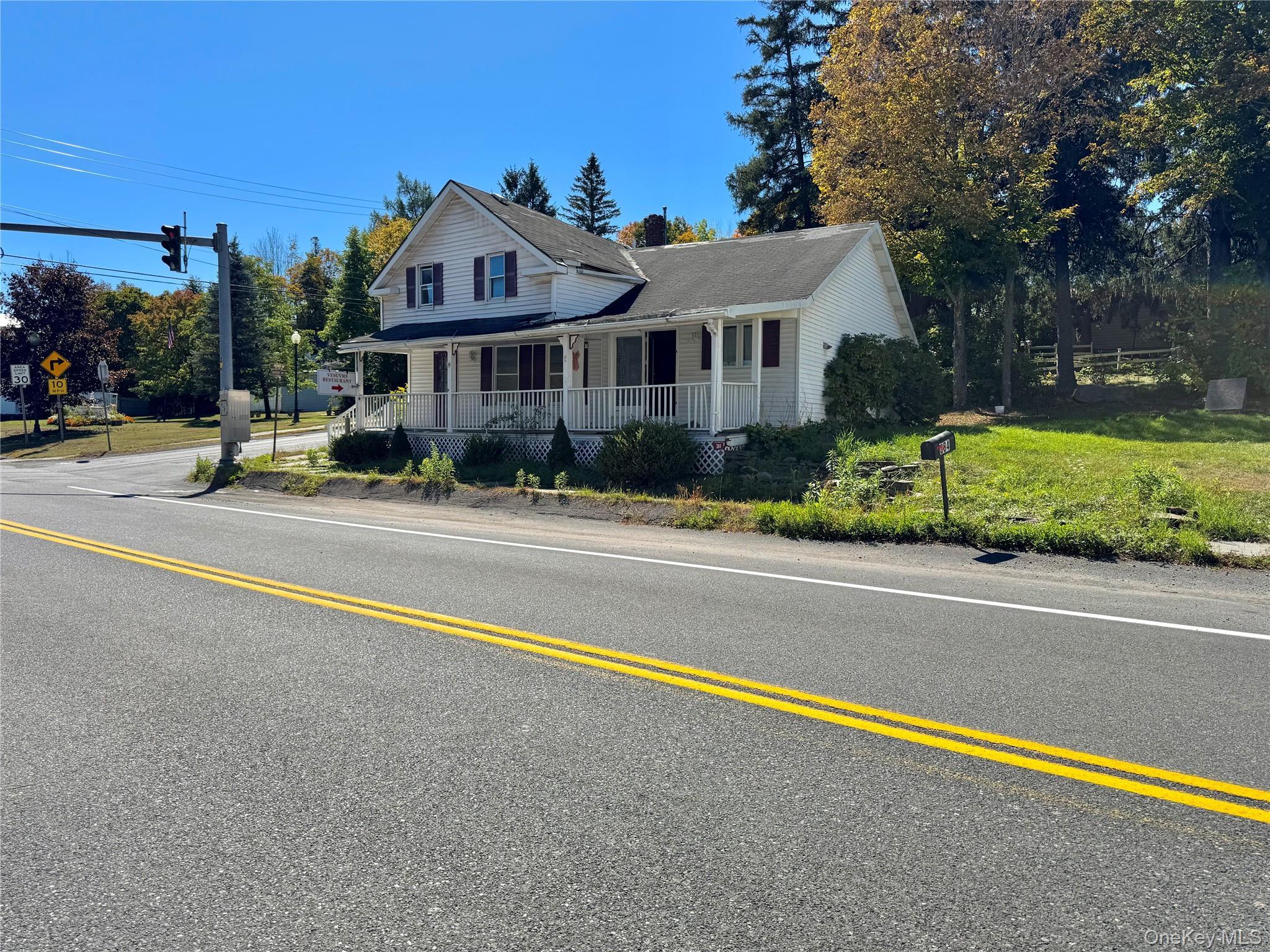 Single Family Route 296 Greene County, NY 12496, MLS-928205-2