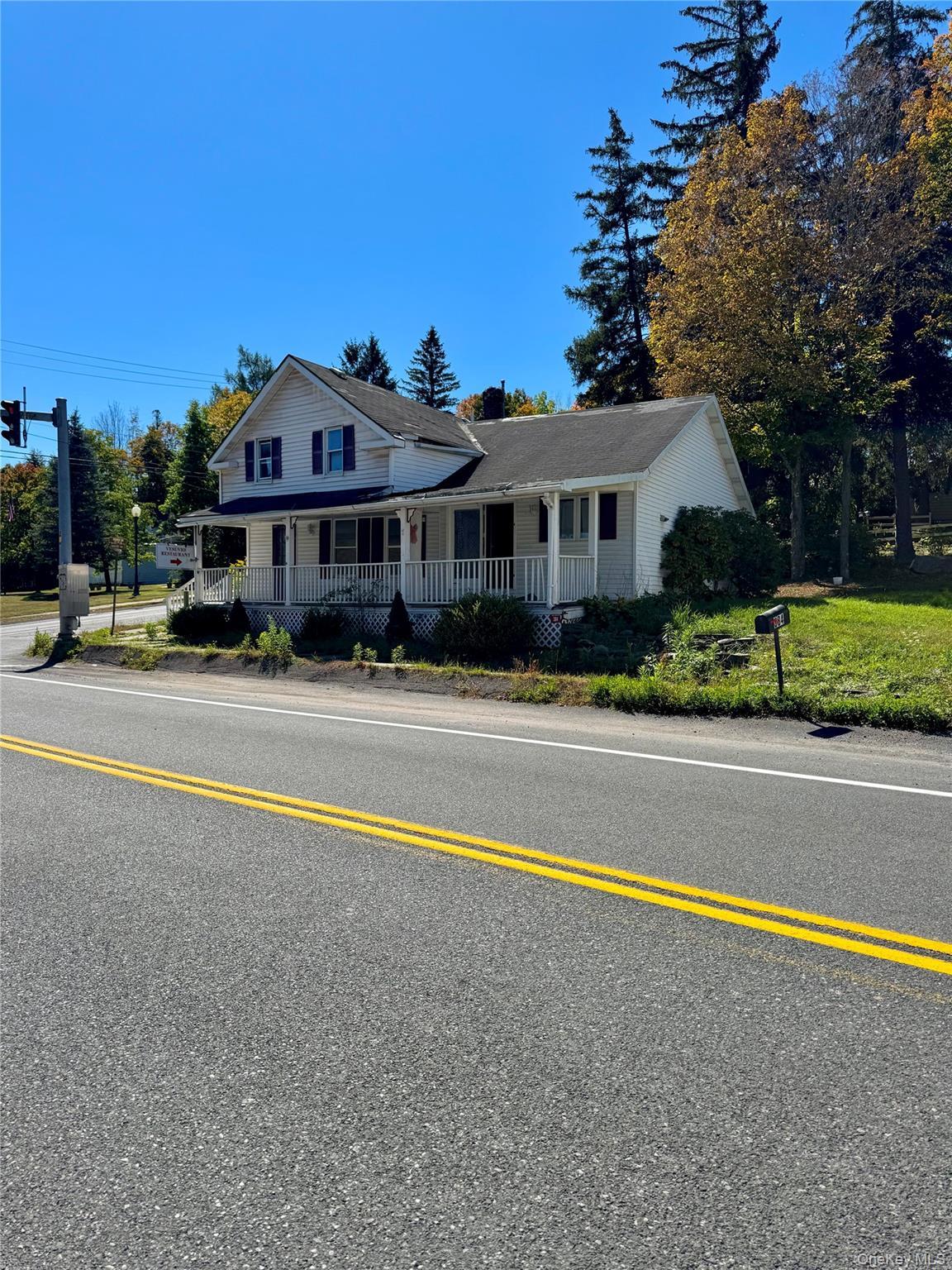 Single Family Route 296 Greene County, NY 12496, MLS-928205-3