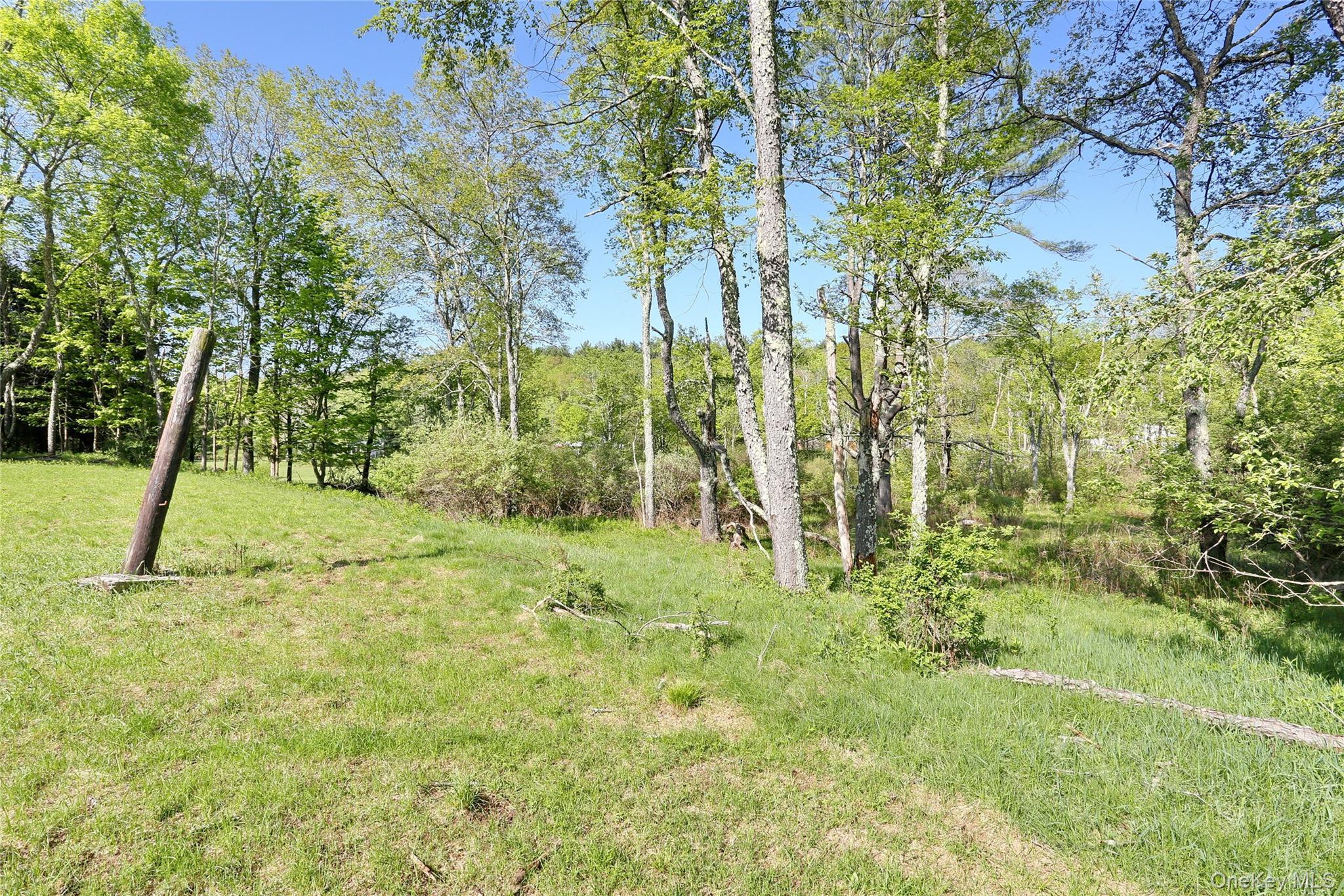 Single Family Ny-17 B Sullivan County, NY 12762, MLS-928289-28