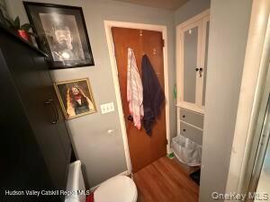 Single Family Shufeldt Ulster County, NY 12401, MLS-928312-8