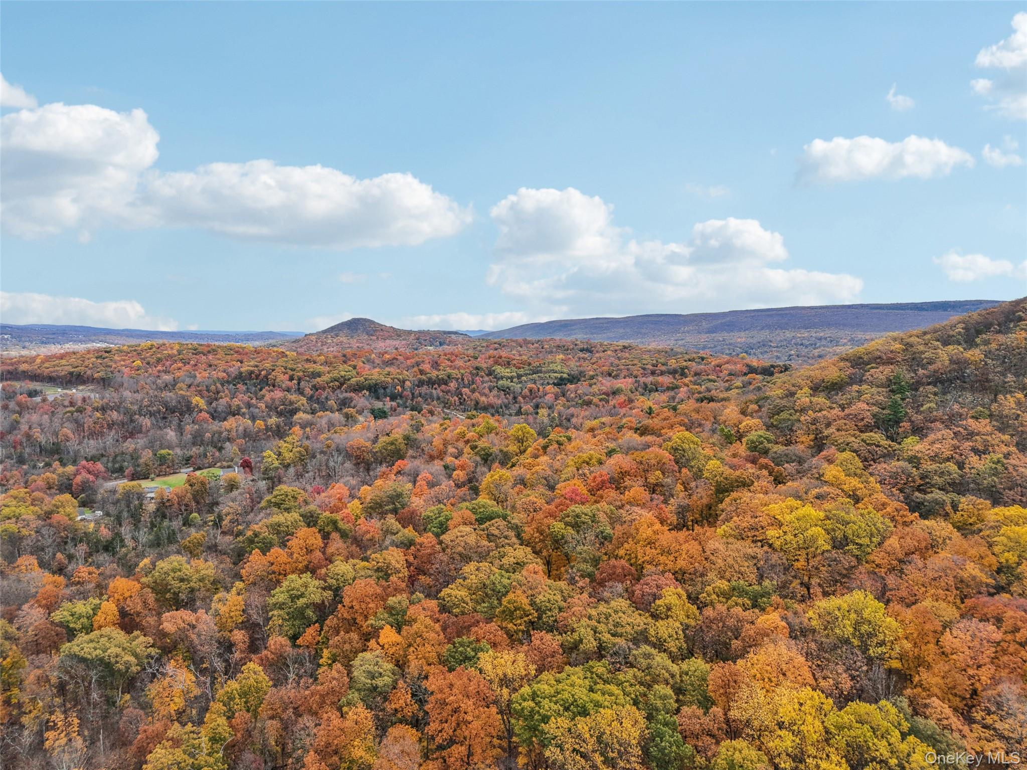 Single Family State Route 208  Orange County, NY 10950, MLS-928314-46