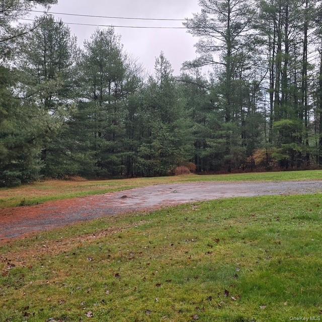 Single Family State Route 42  Sullivan County, NY 12777, MLS-928321-11