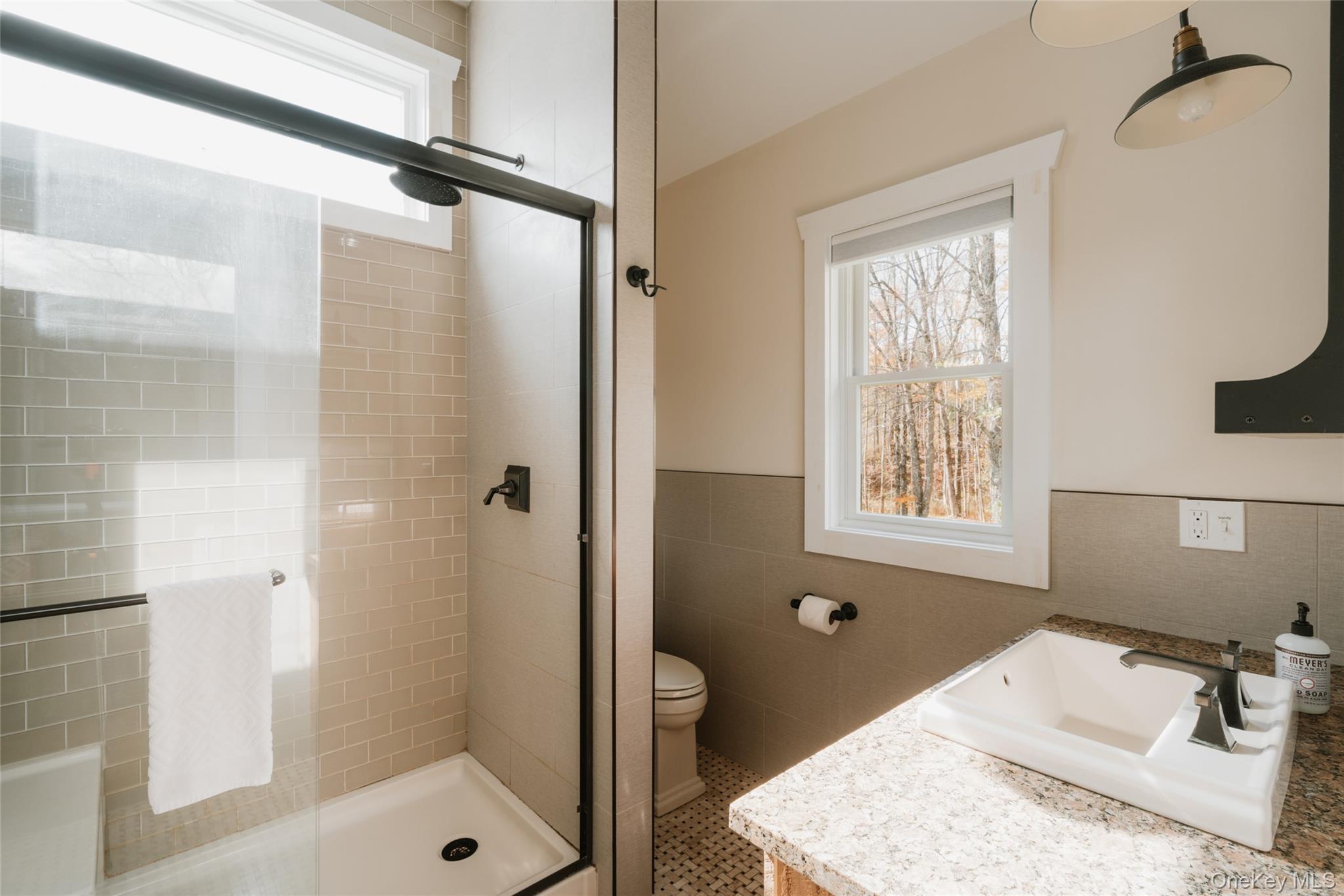 Single Family State Route 55 Sullivan County, NY 12765, MLS-928359-26