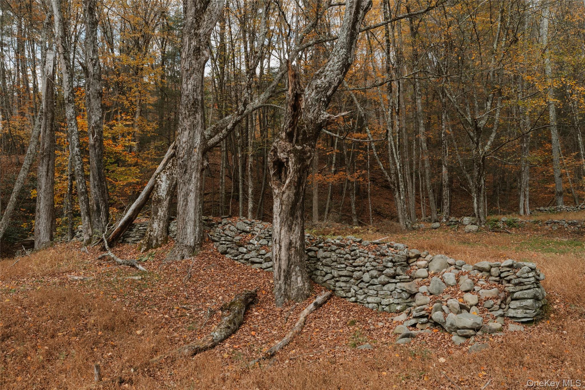 Single Family State Route 55 Sullivan County, NY 12765, MLS-928359-36