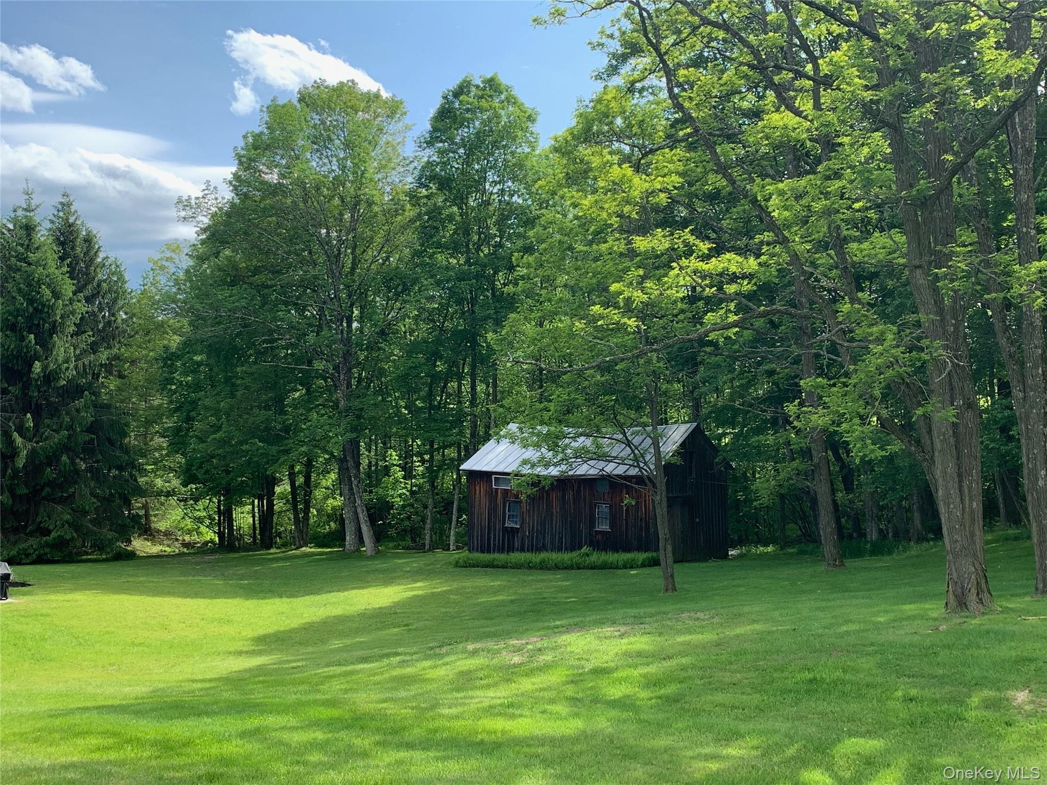 Single Family State Route 55  Sullivan County, NY 12765, MLS-928359-46