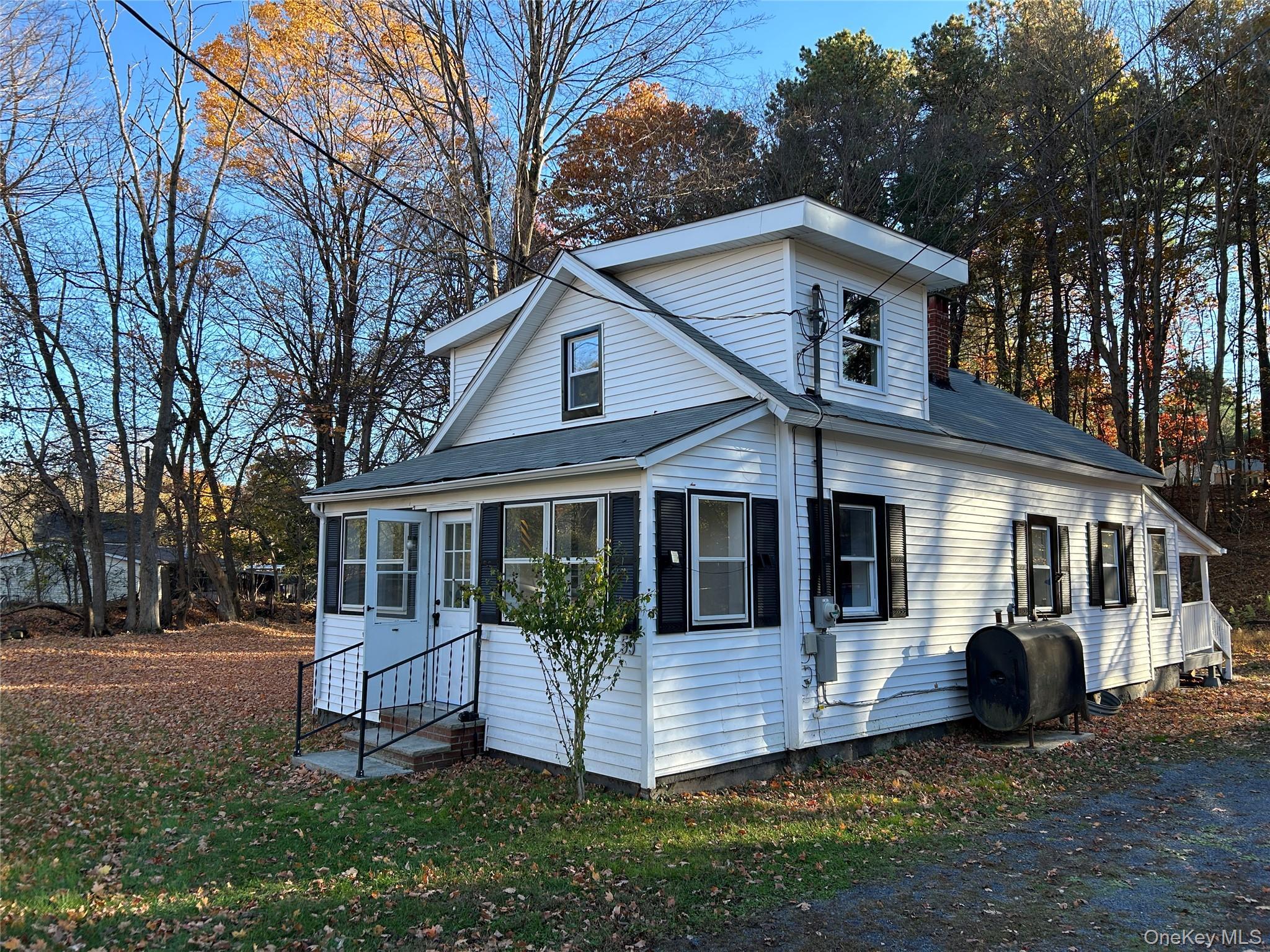 Single Family Peenpack Orange County, NY 12746, MLS-928369-2