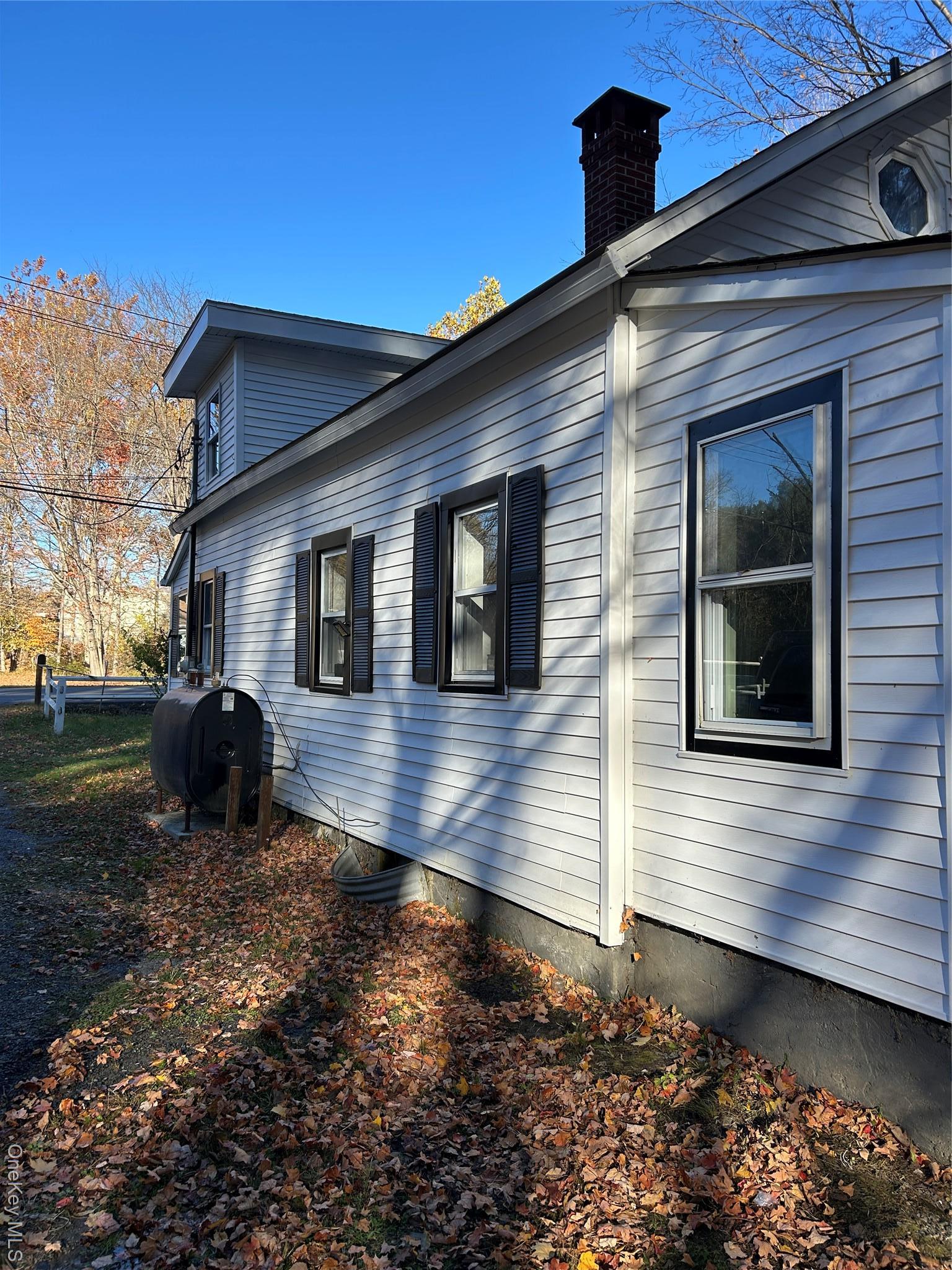 Single Family Peenpack Orange County, NY 12746, MLS-928369-8