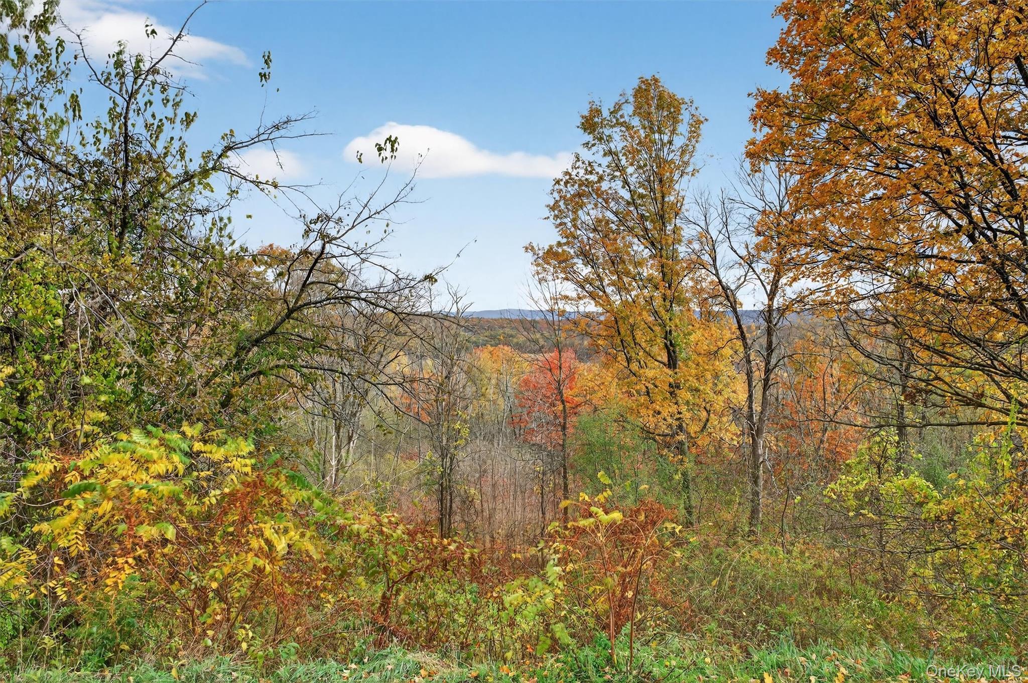 Single Family Ridge  Orange County, NY 10998, MLS-928371-42