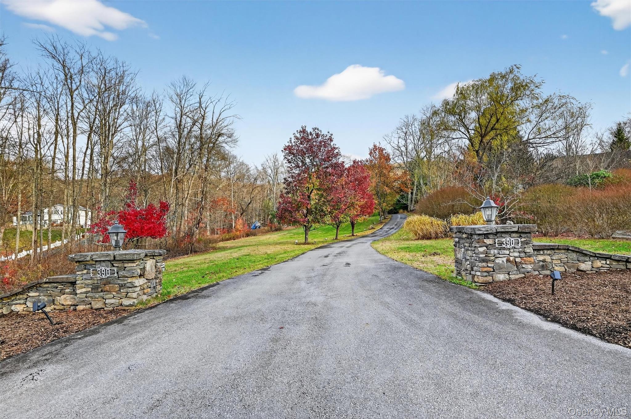 Single Family Nelson Orange County, NY 10925, MLS-928411-2