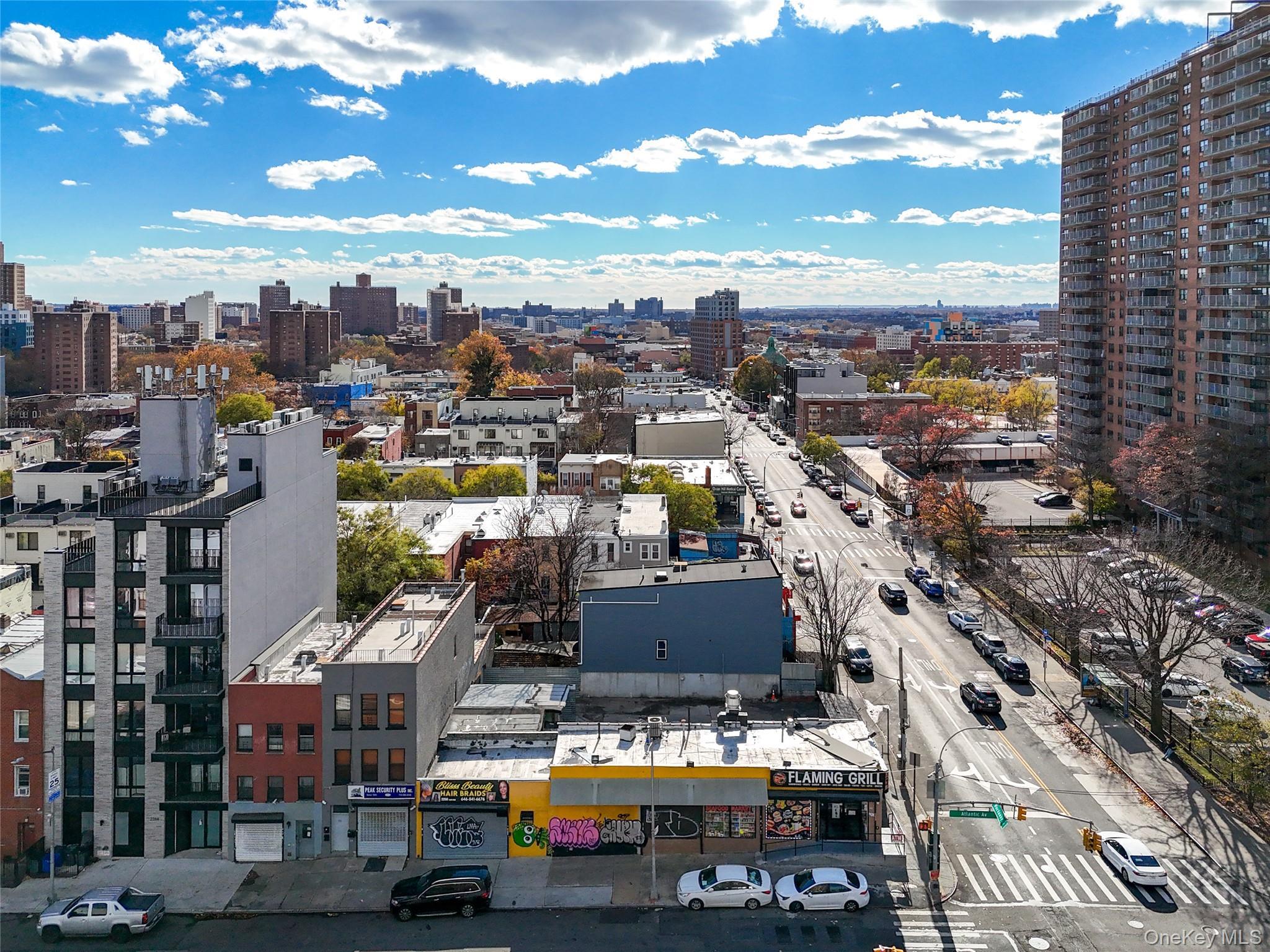 Commercial Sale Atlantic Brooklyn, NY 11233, MLS-928426-12