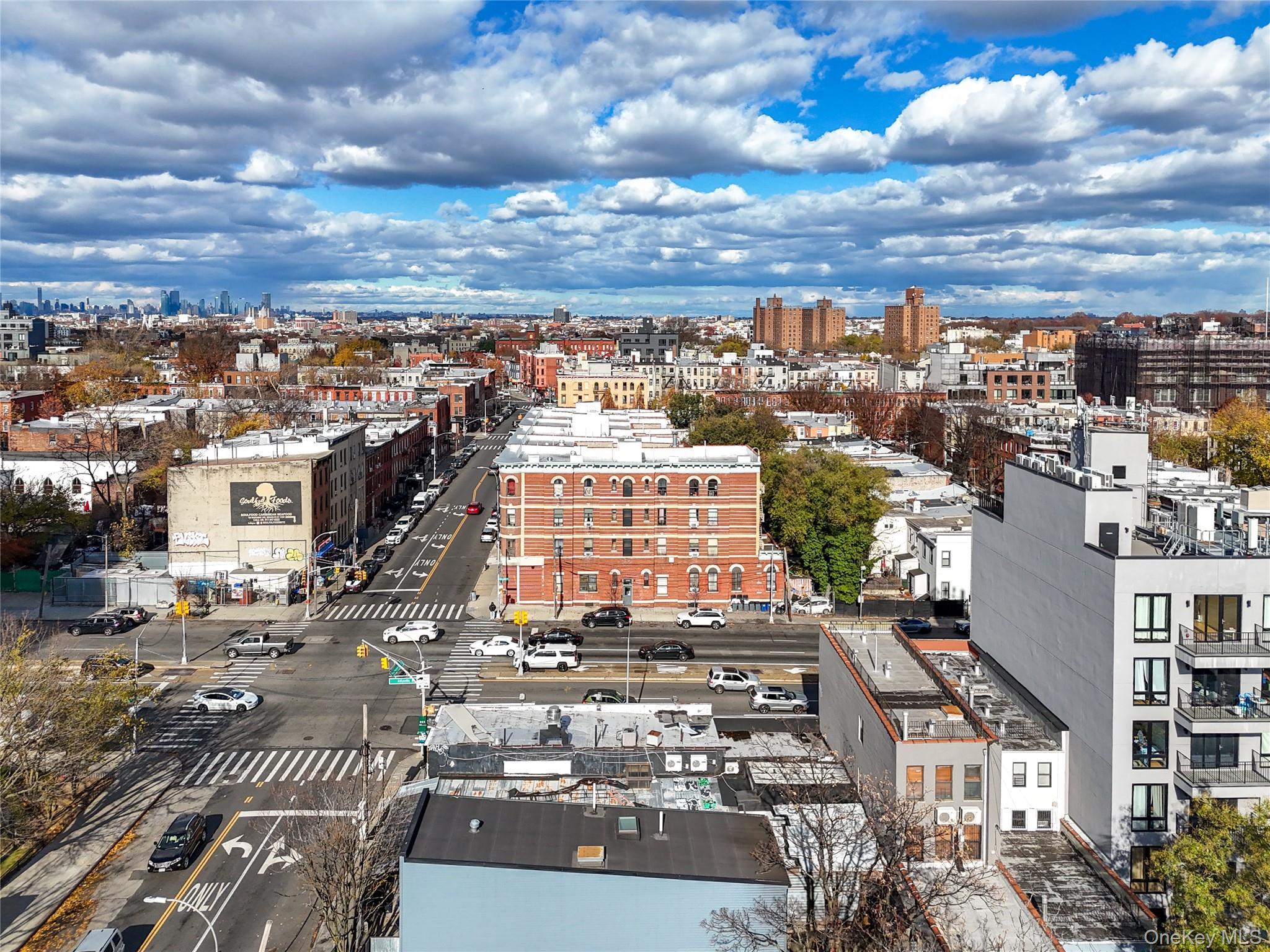 Commercial Sale Atlantic Brooklyn, NY 11233, MLS-928426-15