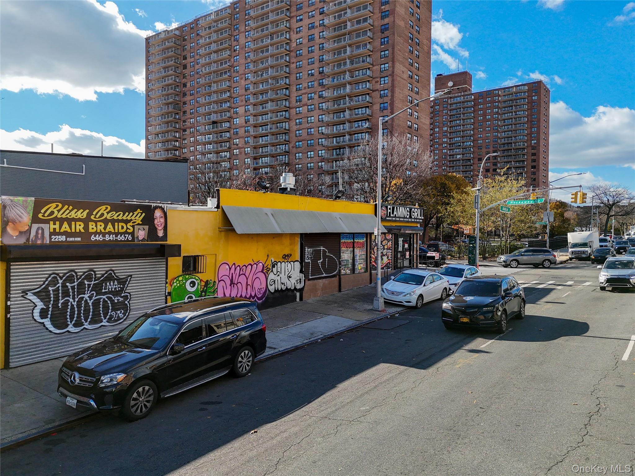 Commercial Sale Atlantic Brooklyn, NY 11233, MLS-928426-4