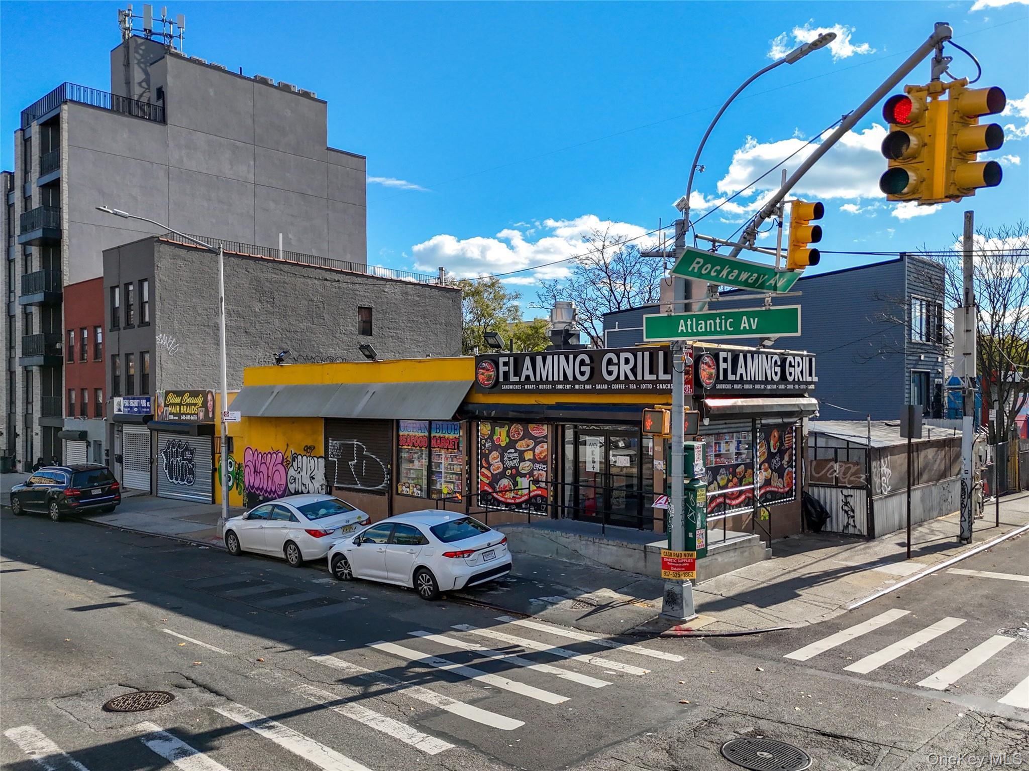 Commercial Sale Atlantic Brooklyn, NY 11233, MLS-928426-5