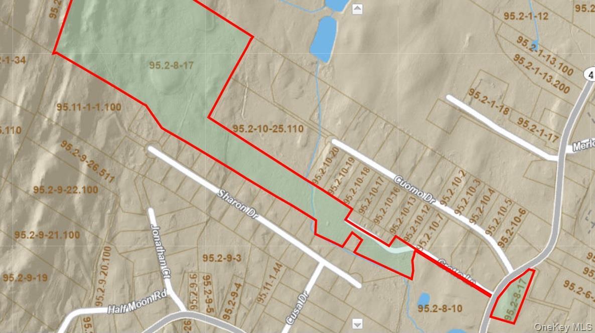 Single Family Vineyard  Ulster County, NY 12528, MLS-928505-25