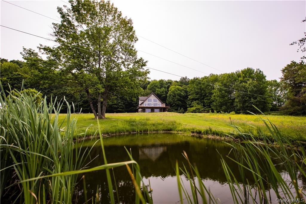 Single Family Reservoir Hill Road Chenango County, NY 13815, MLS-928531-42