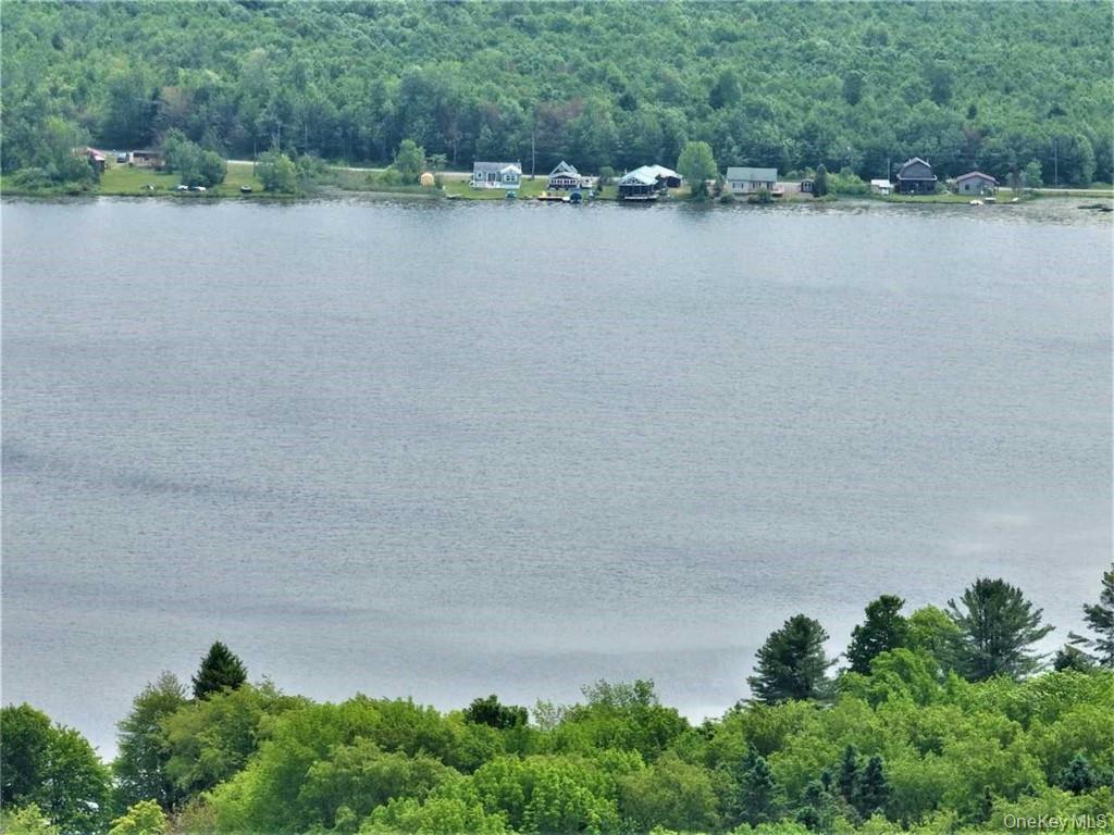 Single Family Reservoir Hill Road Chenango County, NY 13815, MLS-928531-43
