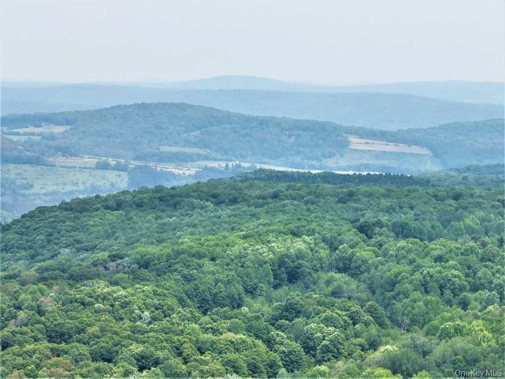 Single Family Reservoir Hill Road  Chenango County, NY 13815, MLS-928531-44