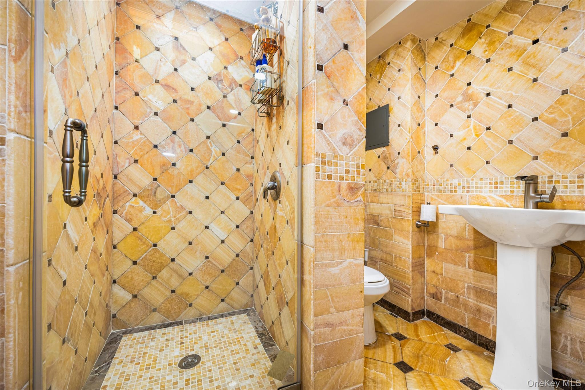 Single Family Rivers Nassau County, NY 11020, MLS-928543-28