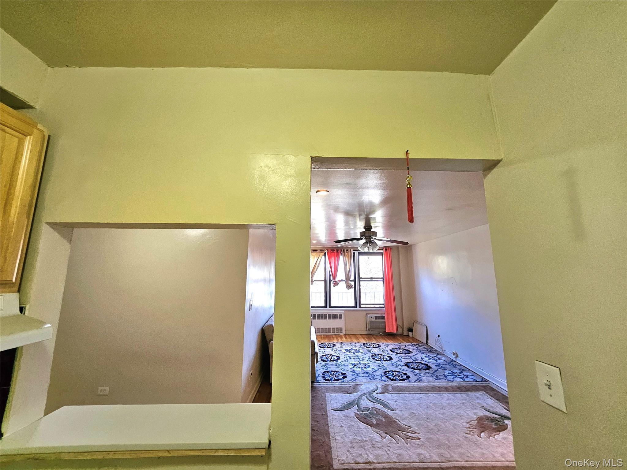 Coop 173  Queens, NY 11432, MLS-928612-9