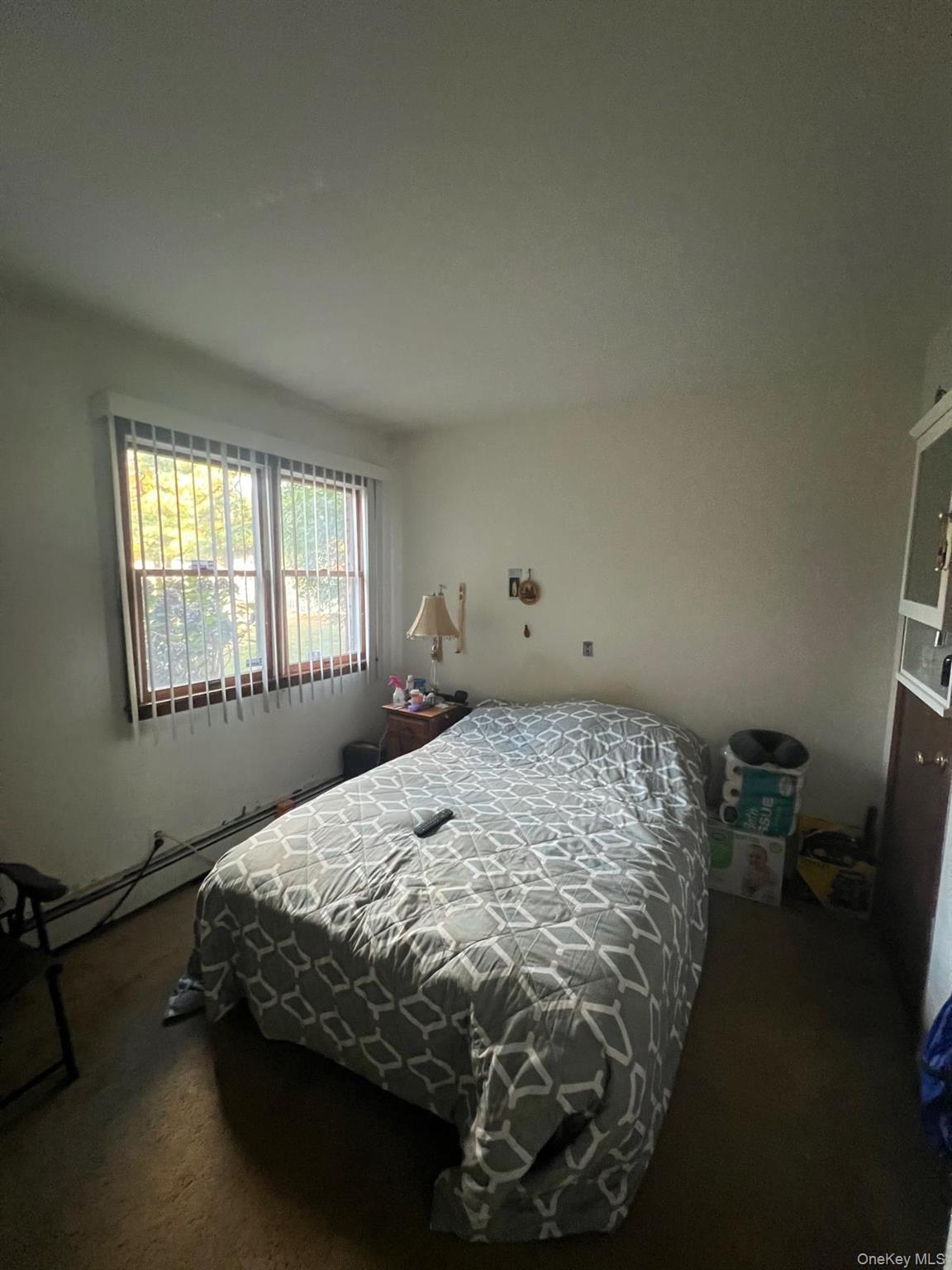 Single Family New Hampshire  Suffolk County, NY 11706, MLS-928657-35