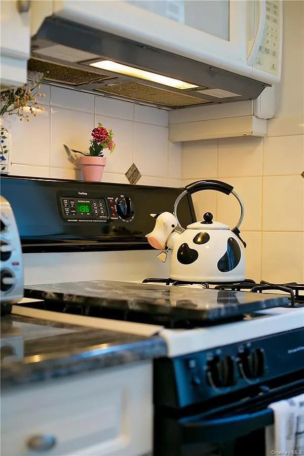 Apartment Springfield  Queens, NY 11427, MLS-928695-7