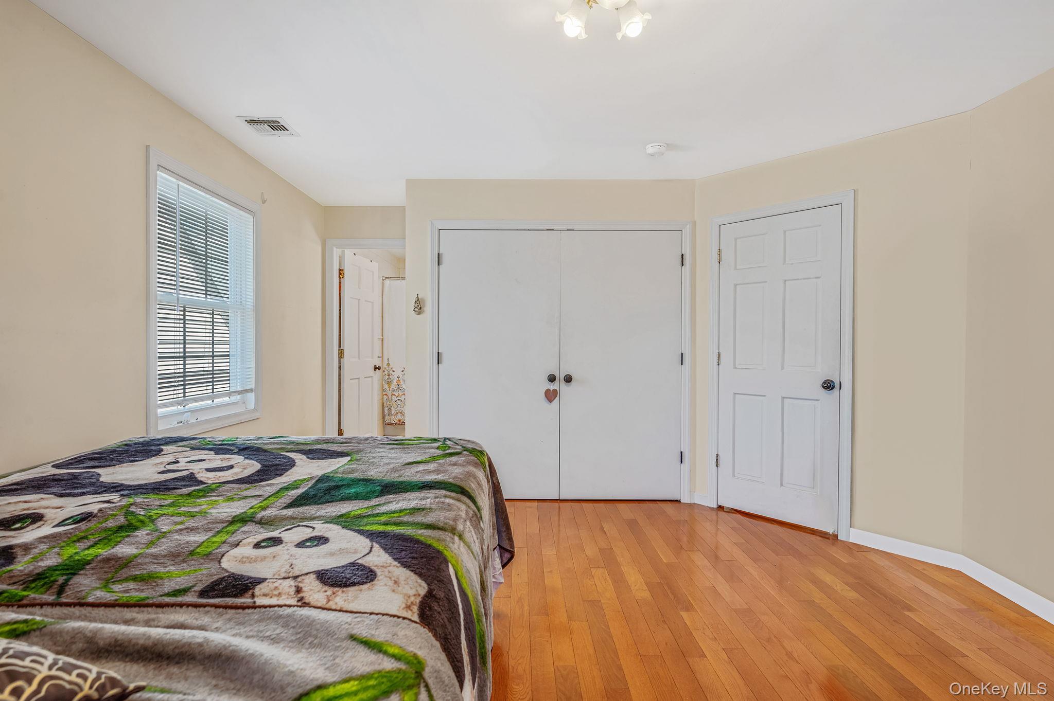 Single Family 237th  Nassau County, NY 11003, MLS-928722-21