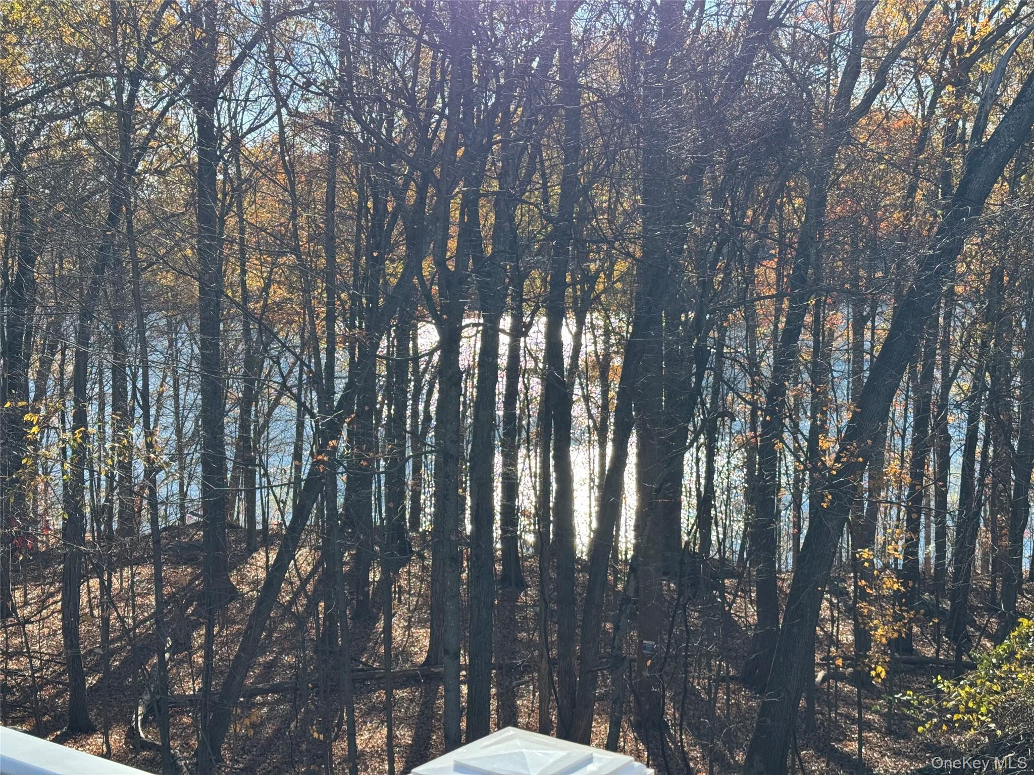 Single Family Troxell  Putnam County, NY 10512, MLS-928758-34