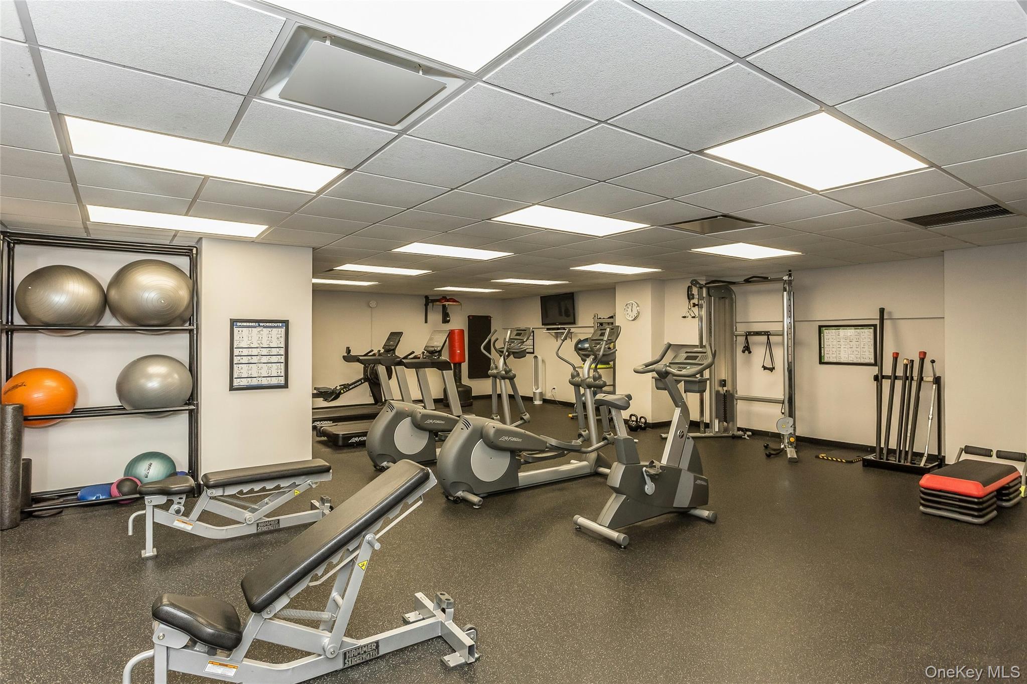 Coop Neptune  Nassau County, NY 11561, MLS-928799-17