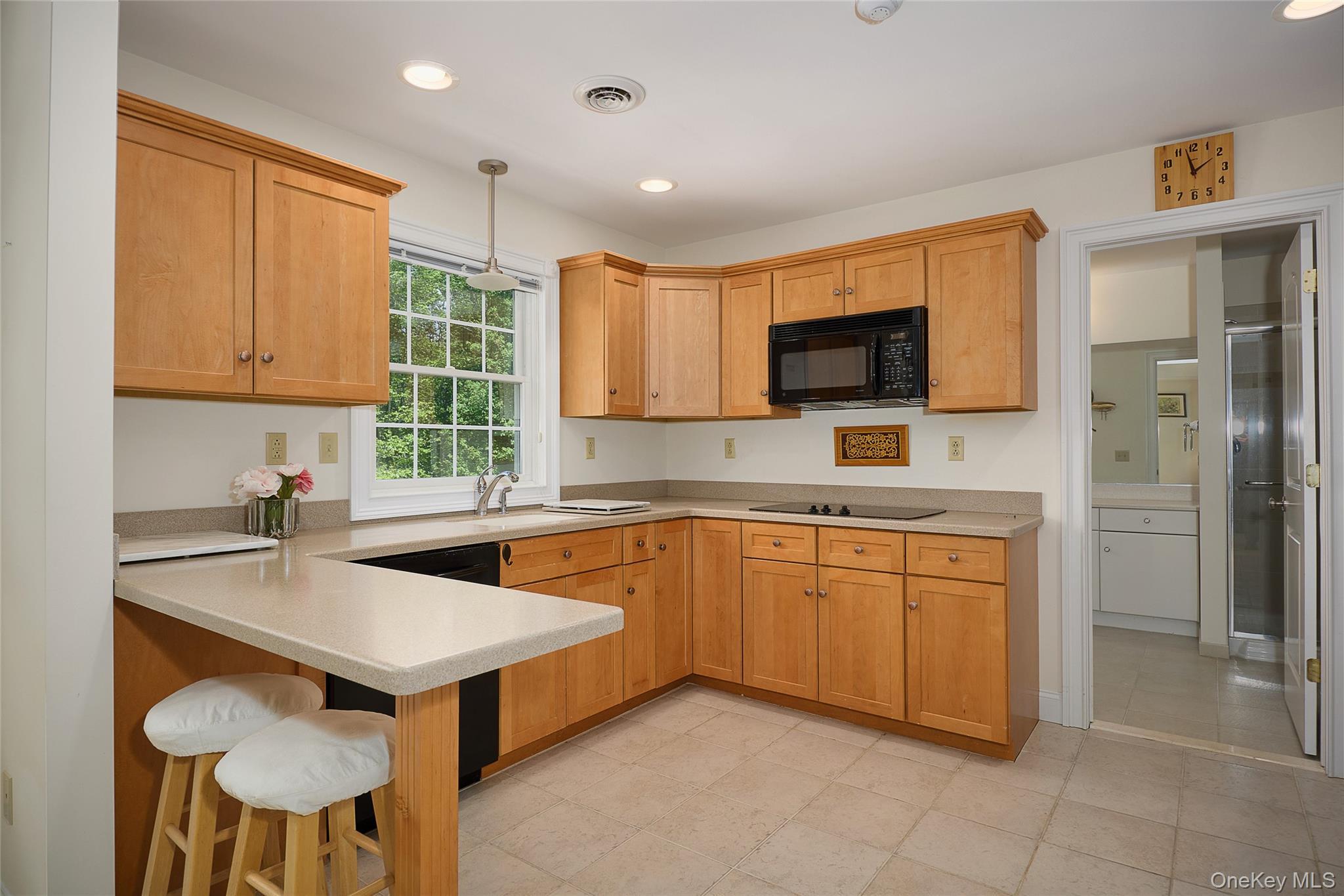 Single Family Heritage Court  Orange County, NY 10987, MLS-928804-31