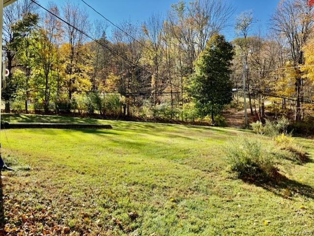 Single Family Woodmont  Dutchess County, NY 12533, MLS-928869-30