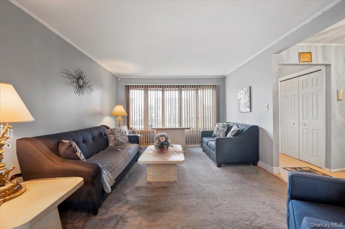 Single Family Bradford  Nassau County, NY 11714, MLS-928874-6