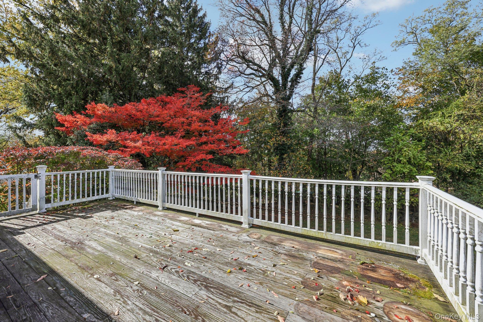 Single Family Grant  Rockland County, NY 10920, MLS-928901-26