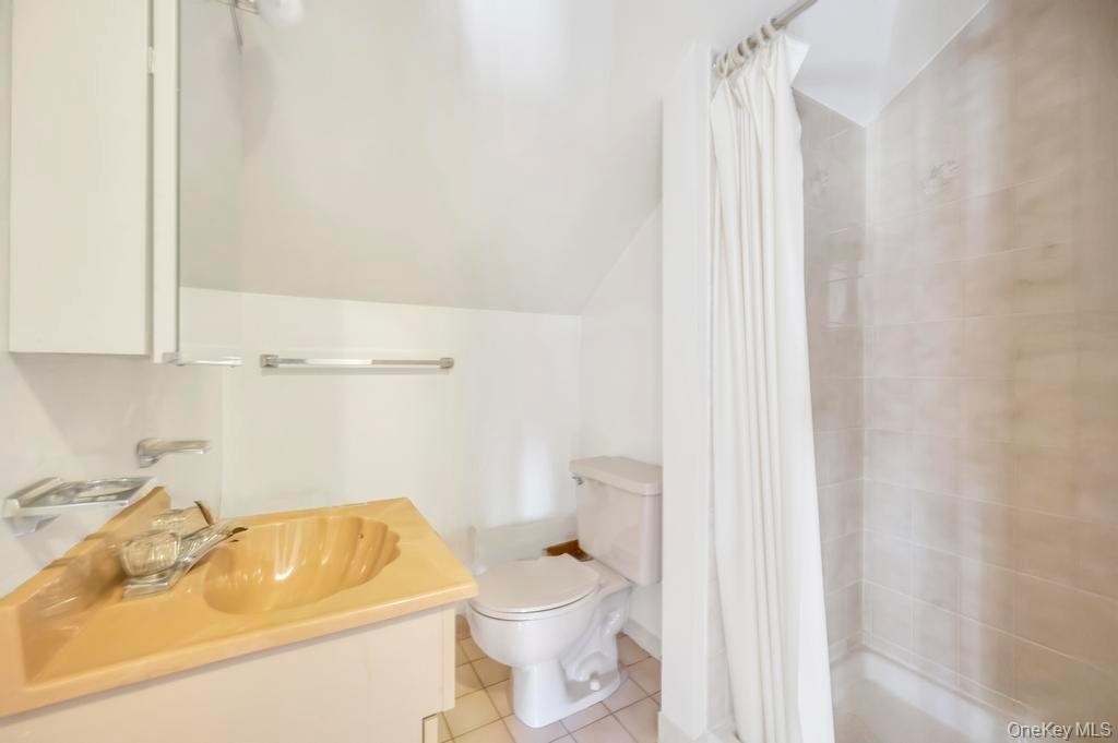 Single Family Fireplace  Nassau County, NY 11801, MLS-928920-32