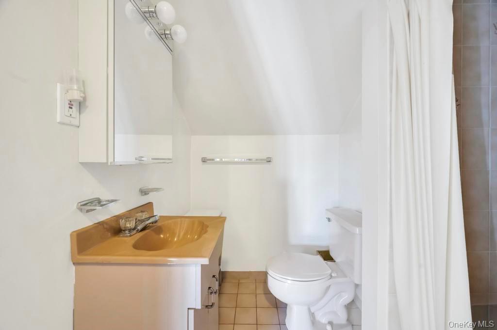 Single Family Fireplace  Nassau County, NY 11801, MLS-928920-33