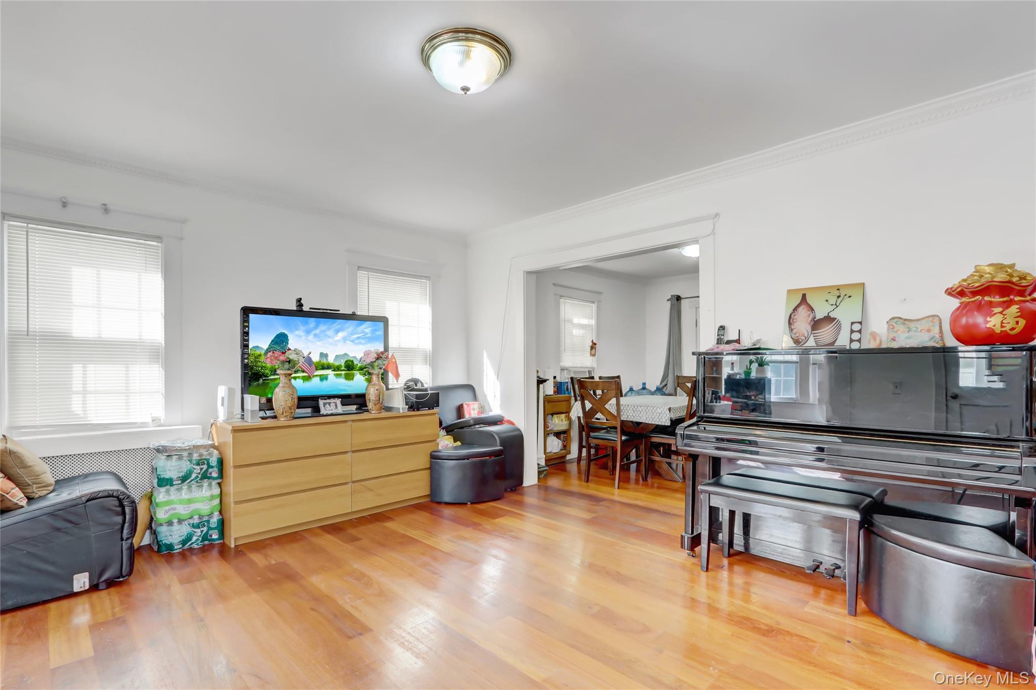 Single Family Walnut  Nassau County, NY 11021, MLS-928945-4