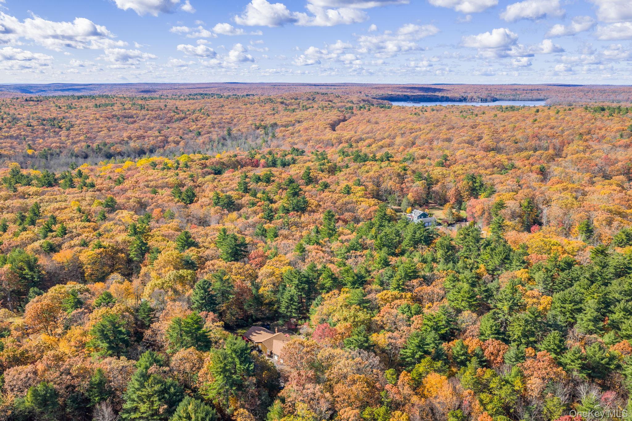 Single Family Florio Earl  Sullivan County, NY 12790, MLS-928973-34