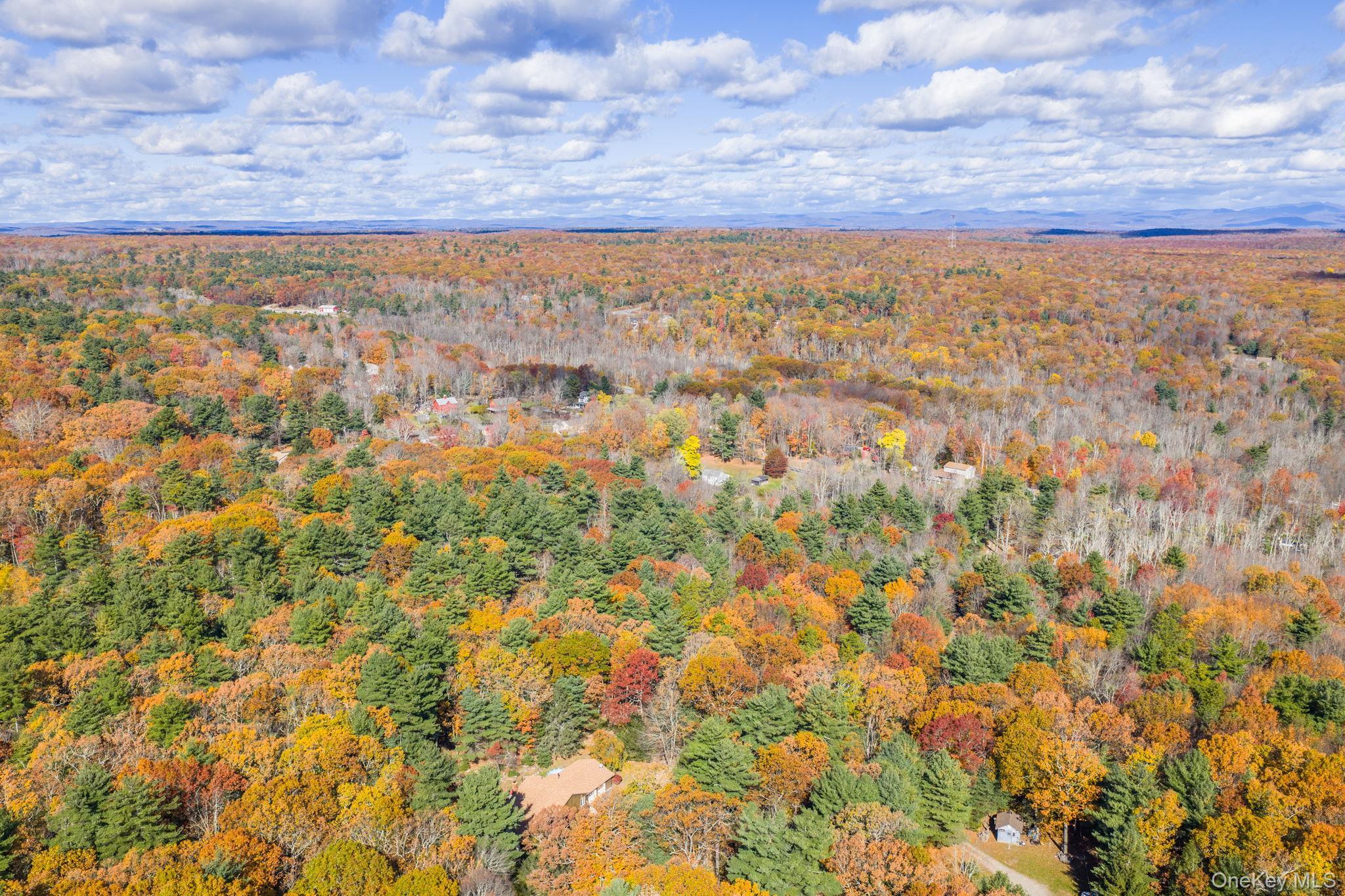 Single Family Florio Earl  Sullivan County, NY 12790, MLS-928973-35