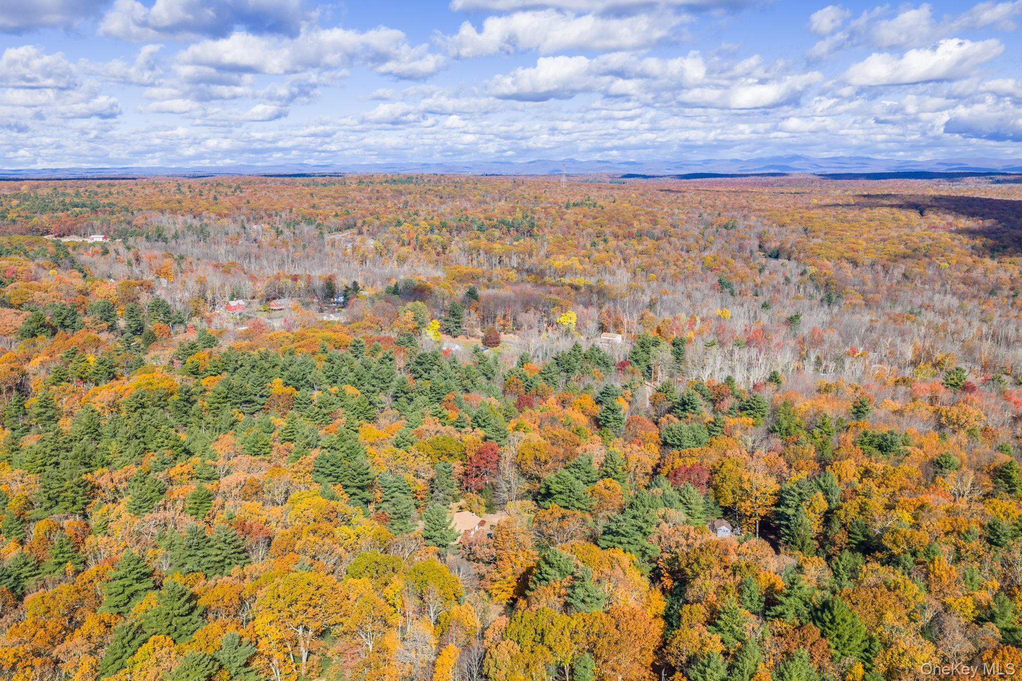 Single Family Florio Earl  Sullivan County, NY 12790, MLS-928973-36