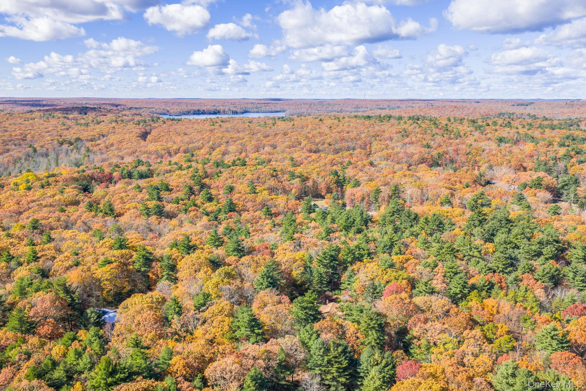 Single Family Florio Earl  Sullivan County, NY 12790, MLS-928973-37